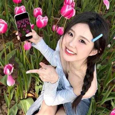 入土未为安 海报