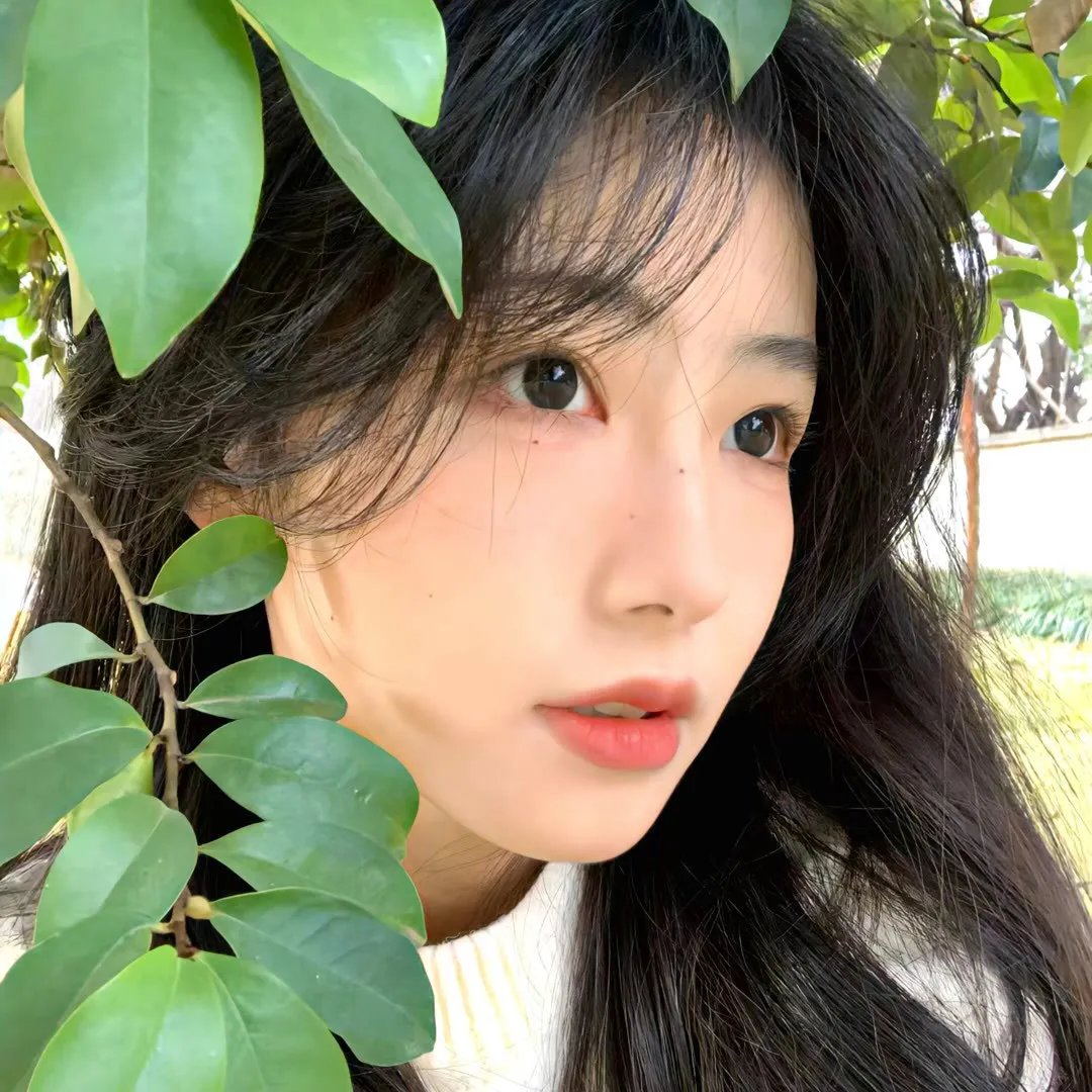 爱情图鉴之暗恋 海报