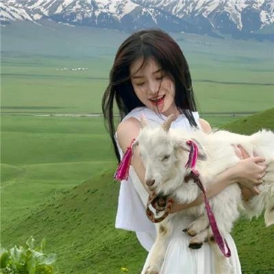 剧场版 秘密战队五连者 海报