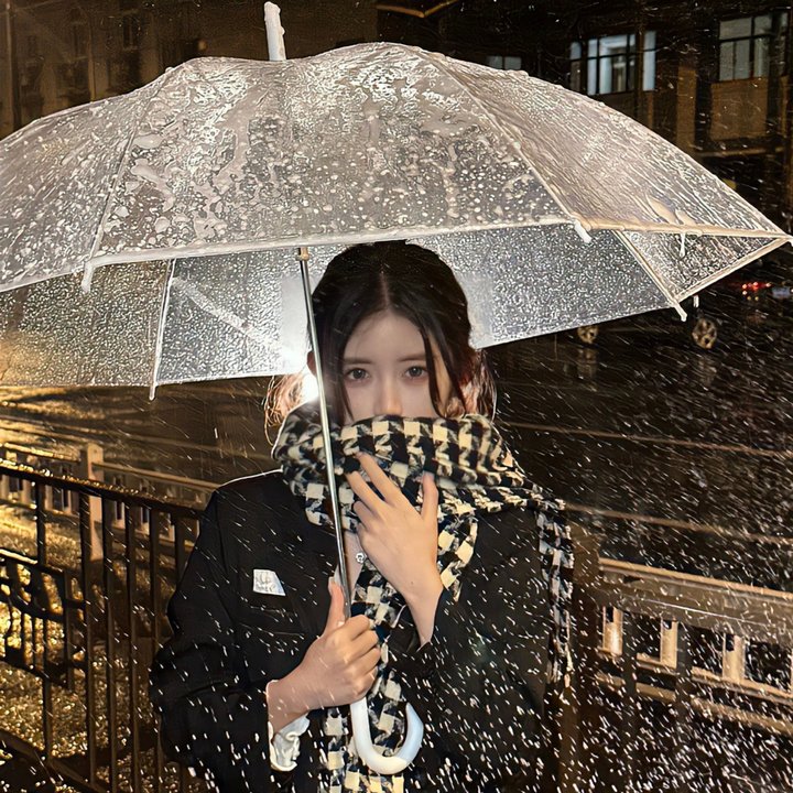 淑女宠爱 海报